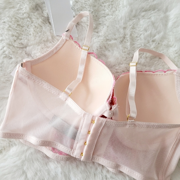🩷DAISY FUENTES BRAND NEW HEART EMBROIDERED BRA SIZE 34C - Picture 5 of 5